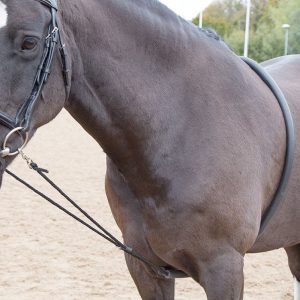 Enrênement de longe