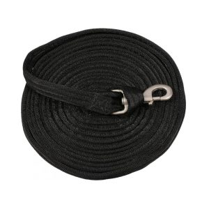 Longe Cushion Web (25')