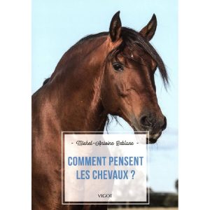 Comment pensent les chevaux?