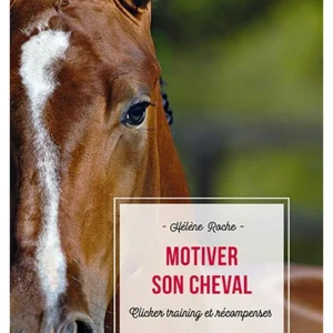 Motiver son cheval - Clicker training et récompenses N.E.