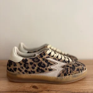 CL071 LEOPARD