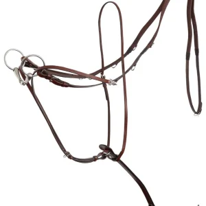 Martingale allemande en cuir avec rênes