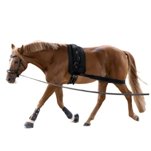 Bande corporelle élastique pour cheval