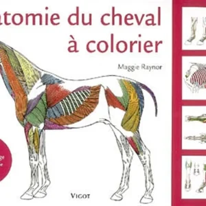 Anatomie du cheval à colorier - M. RAYNOR