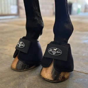 Cloches de Glace Thérapeutiques